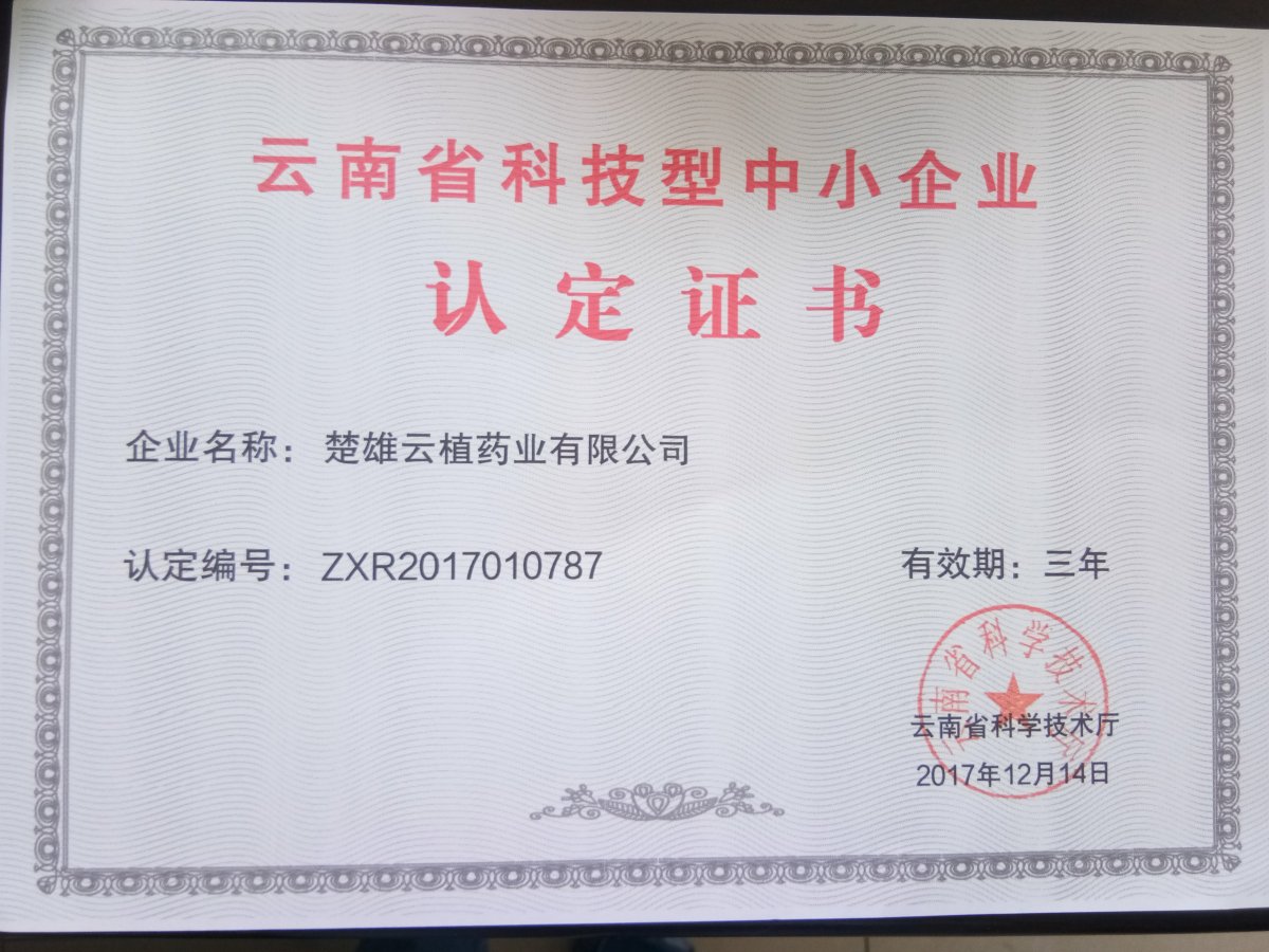 2017年度云南省科技型中小企业证书